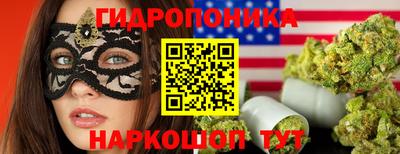 mdpv Кандалакша