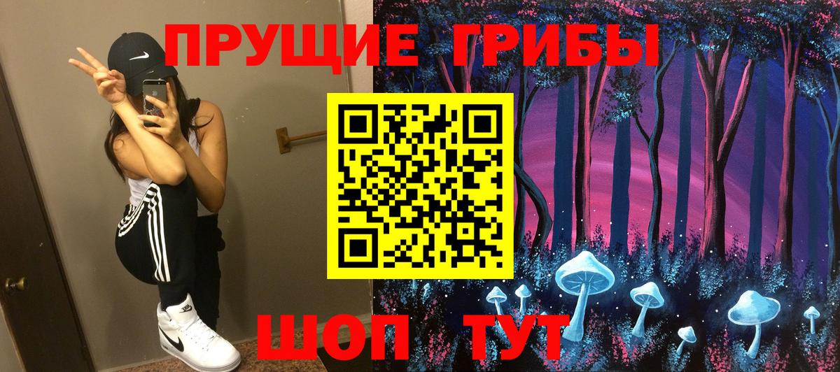 Галлюциногенные грибы прущие грибы Гудермес