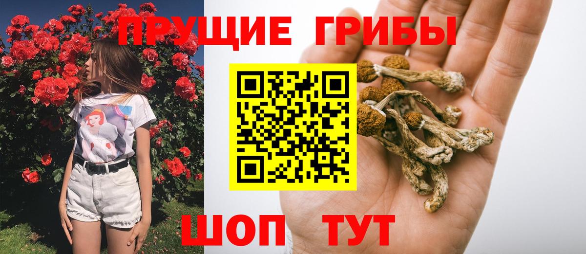 Псилоцибиновые грибы прущие грибы  Вход с VPN  купить  сайты  Гудермес 